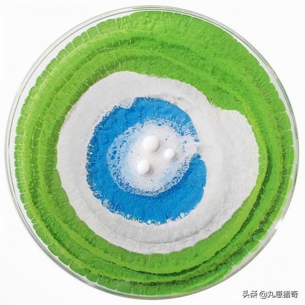 細菌之美：培養皿上的斑痕，比梵高筆下的《星空》更加豔麗