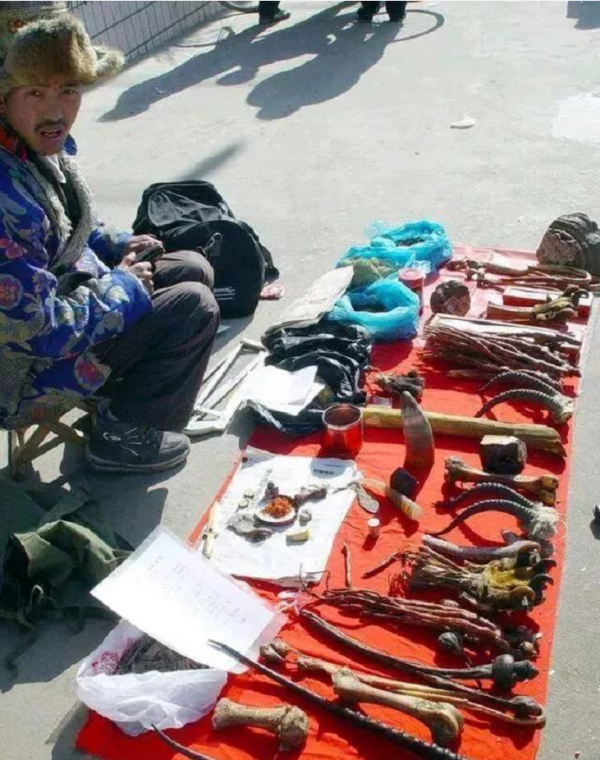 揭秘江湖騙局！真虎骨到底長什麼樣？地攤上假虎骨是怎麼製成的？