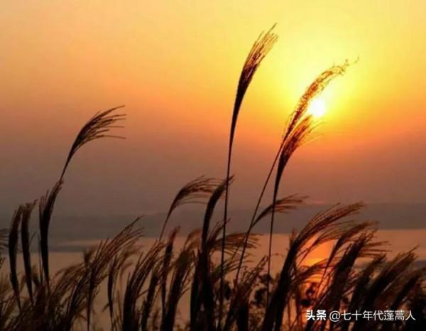 殤，我們真的不知道明天和意外，究竟哪個先來