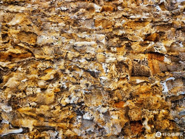 自己動手裝別墅：1萬元打造家庭iMAX電影院