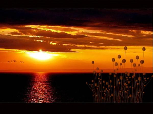 海洋的景色，真美