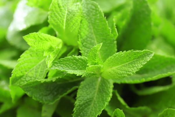 肝鬱化熱，所以睡不著！一張失眠基本方，疏肝解鬱，讓你睡得香