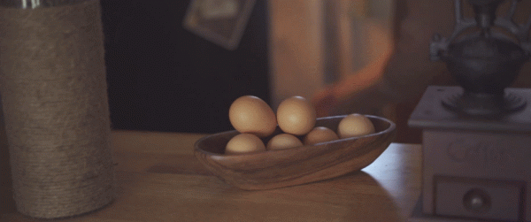 “動物人參”比雞蛋更補人！這樣吃健腦、潤肺、護肝腎，補足全身營養