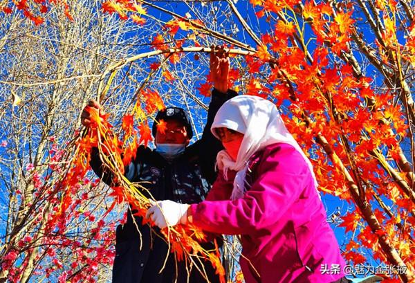甘肅民樂：城北民俗村變身市民休閒“打卡地”