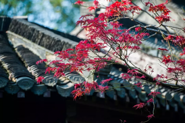 一到秋天，這五座古城就美翻，趕緊去打卡吧