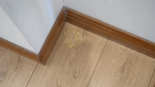 在家也能摸魚的秘密：我擁有了倍思X3洗地機