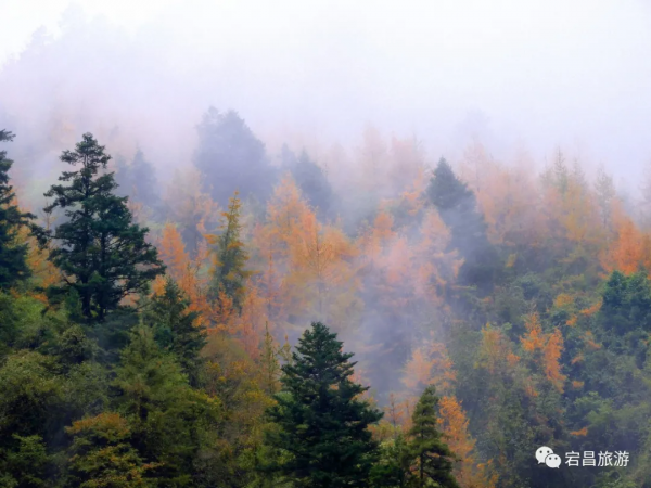 【最新美圖】此生不去澤蕩湖,逢人莫說賞秋色 【最新美圖】此生不去澤蕩湖,逢人莫說賞秋色
