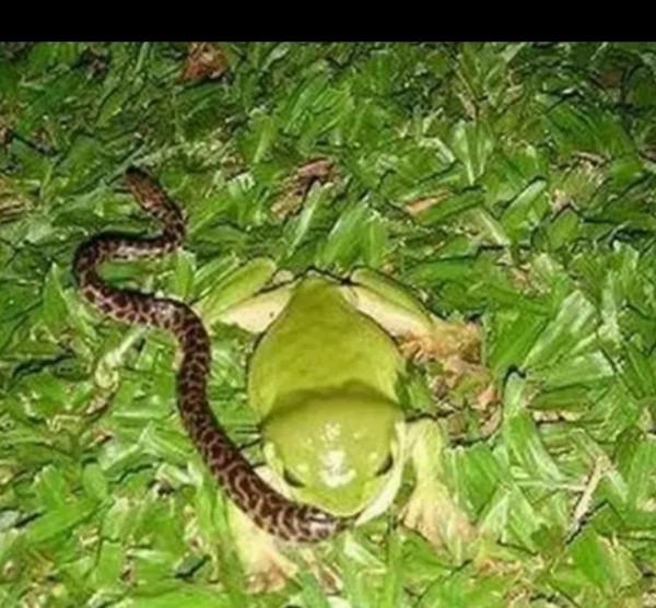 活著 如此不容易