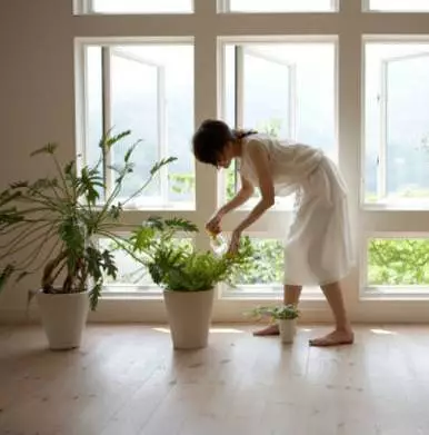 純乾貨 | 養花人必知的20條常識,收好了 純乾貨 | 養花人必知的20條常識,收好了