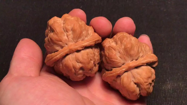 四道雙開背，八面蛤蟆尊