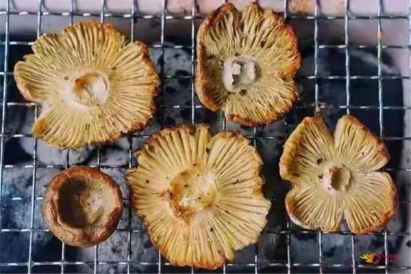 推薦丨這個冬天，請你到雲南邊烤火邊吃美食！