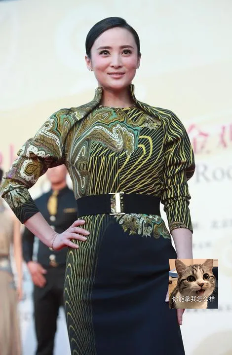 這些年,出現在金雞百花紅毯上的“妖魔鬼怪”,雷到我起不出標題 這些年,出現在金雞百花紅毯上的“妖魔鬼怪”,雷到我起不出標題