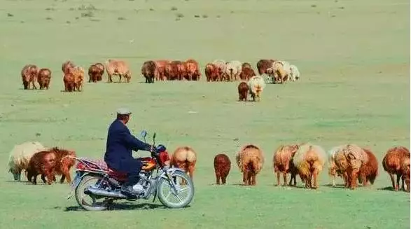 天山畫廊東大塘 純粹的令人神往