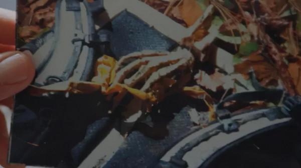 女神全智賢跌下神壇,這限制級新劇竟然翻車了 女神全智賢跌下神壇,這限制級新劇竟然翻車了