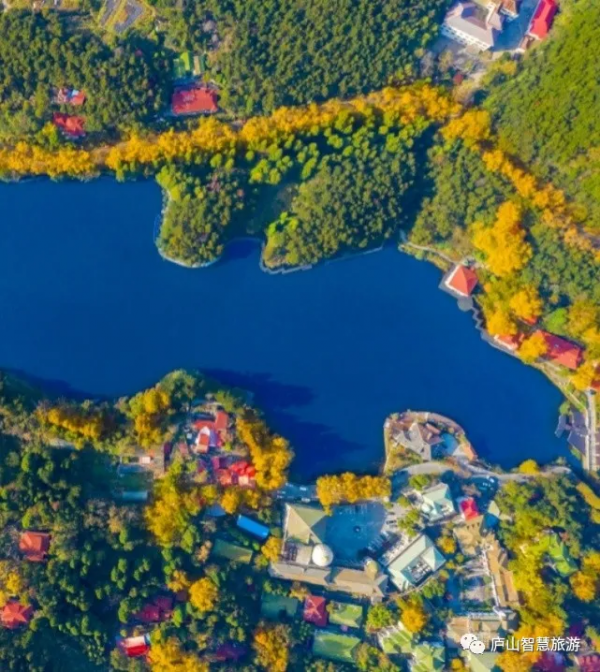 一聲梧葉一聲秋，廬山開啟七彩秋色模式