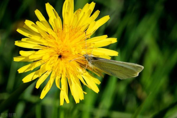 帶孩子出遊帶上“3鏡1球”，孩子玩得開心，專注力又好