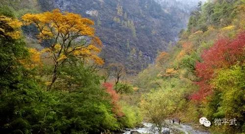 “中國黃石公園”—虎牙大峽谷