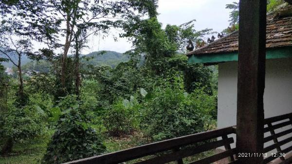 觀鳥兩年——每日期待著與鳥兒的邂逅，踏上了追逐鳥兒的征程