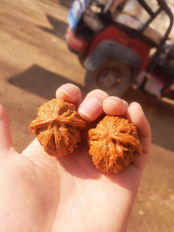 週末跟媳婦兒出來一塊瞅個書桌,學習、刷核桃用 週末跟媳婦兒出來一塊瞅個書桌,學習、刷核桃用