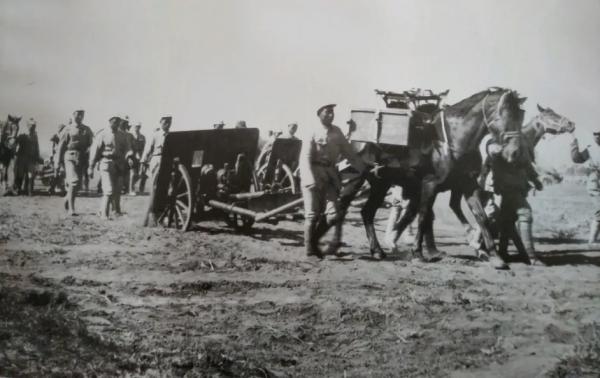 紅色特工項與年追悼會，兒子趕去參加，省委書記：你怎麼認識他？