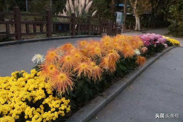 國內值得一去的旅遊景點