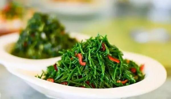 深度認知科學飲食好處，竭誠培育科學飲食習慣