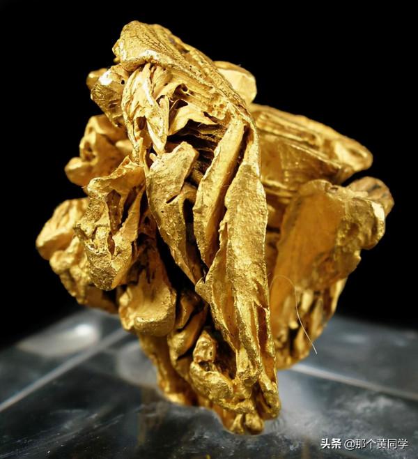 世界上最誘人的大疙瘩“狗頭金”