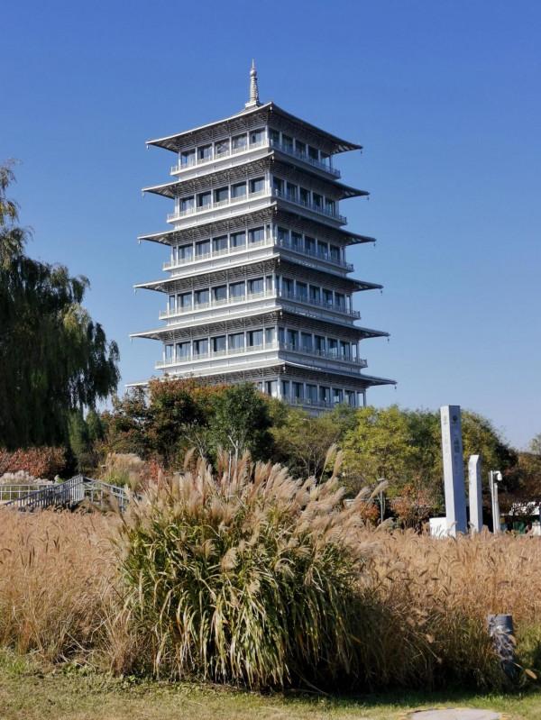 世博園 鍛鍊身體的好地方 地方超大