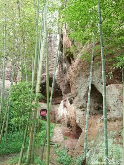 寨九坳,大自然的“九獅拜象” 寨九坳,大自然的“九獅拜象”