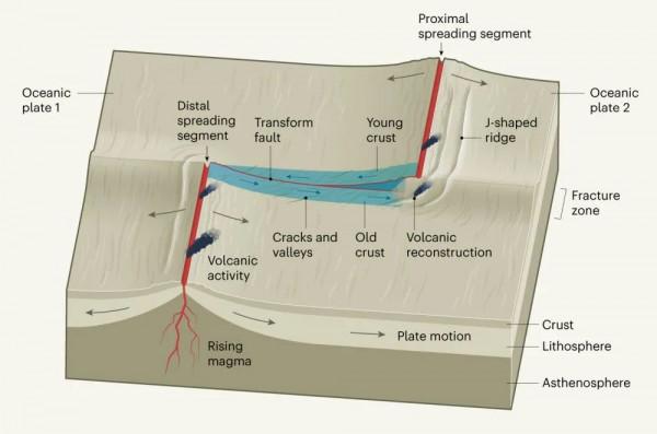 Nature:大洋轉換斷層處的拉張構造與兩階段地殼增生 Nature:大洋轉換斷層處的拉張構造與兩階段地殼增生