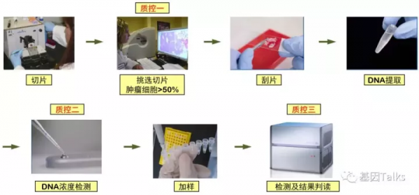 分子技術丨HRM檢測技術介紹 分子技術丨HRM檢測技術介紹