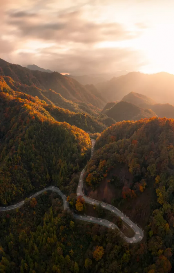 為什麼全國都愛四川的秋天! 為什麼全國都愛四川的秋天!