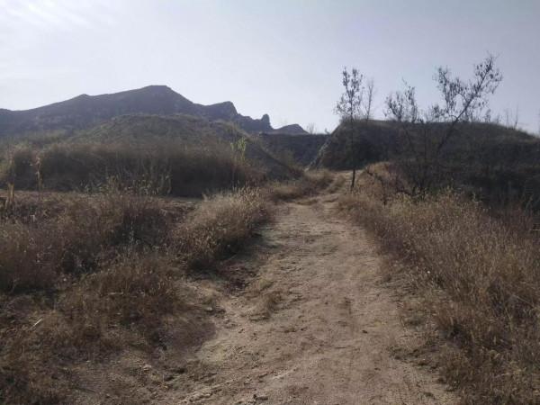 魯家峪的故事(2021－877)