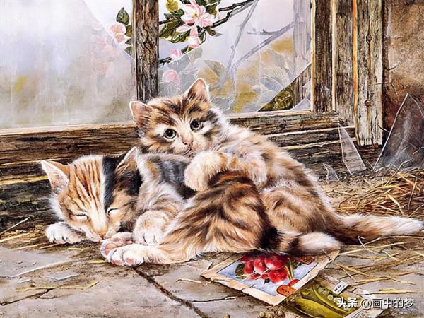 精緻活潑的貓貓,實在太可愛了 精緻活潑的貓貓,實在太可愛了