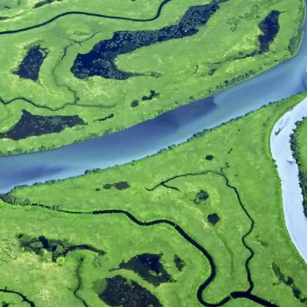 我們分析了一波趨勢，2022年在家裡放這些“超有品”