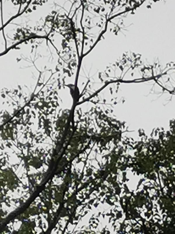 你常有與孩子有效溝通嗎？