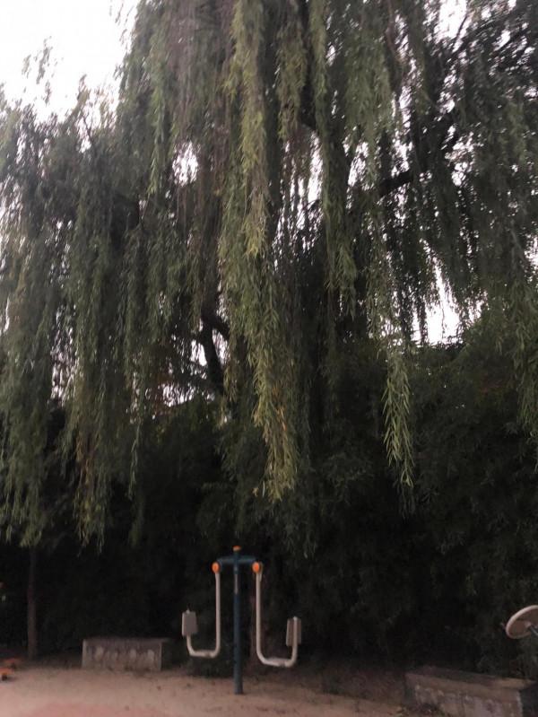 ▪️冷暖在人間