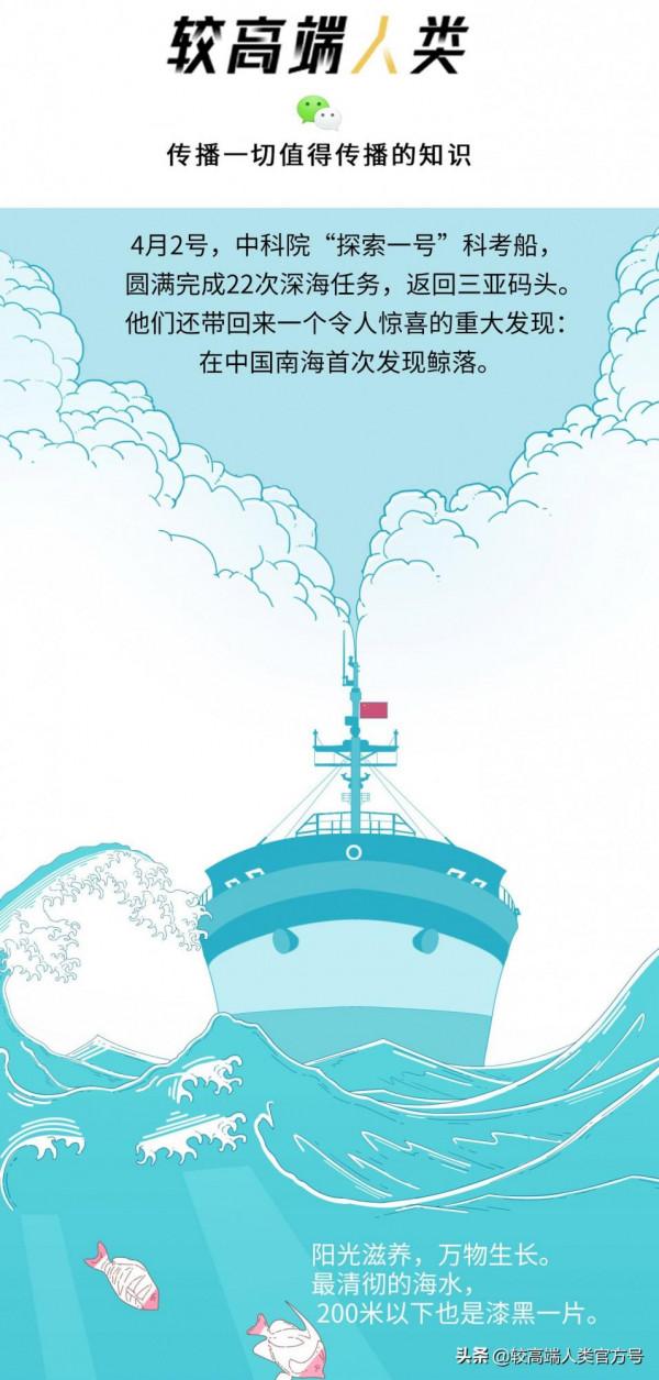 不久前，我目睹了世上最悲壯的死亡