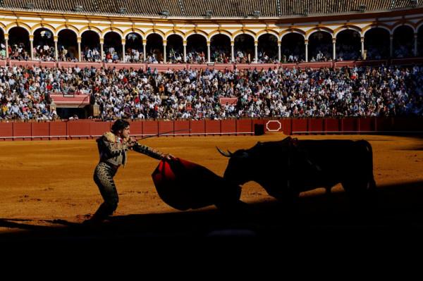西班牙塞維利亞舉行新冠疫情以來首次鬥牛表演 西班牙塞維利亞舉行新冠疫情以來首次鬥牛表演