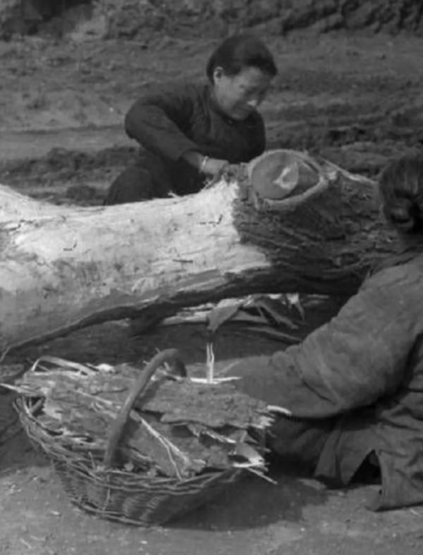 圖說民國：30張民國時期的老照片，講透底層社會的辛酸和悲哀