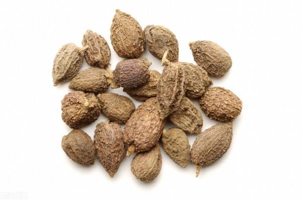 藏在廚房裡的11味中藥，你知道幾種？