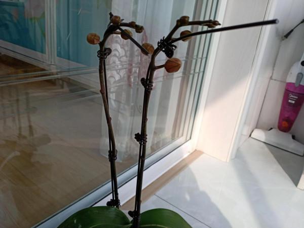 驚喜接踵而至 驚喜接踵而至