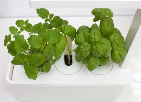 如何讓衛生間美觀大氣、舒適雅緻、空氣清新? 如何讓衛生間美觀大氣、舒適雅緻、空氣清新?