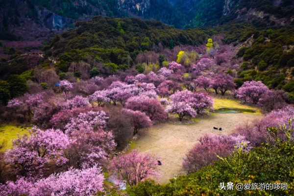 今年的旅行計劃怎麼做？不如跟著有趣的節日去旅行