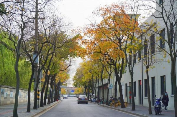 新一波地圖來了~除了北美紅楓和銀杏，普陀還有什麼好看？