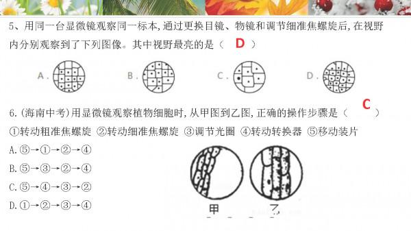 請家長列印：七年級上冊生物 期末考點+思維導圖+ 答案模板