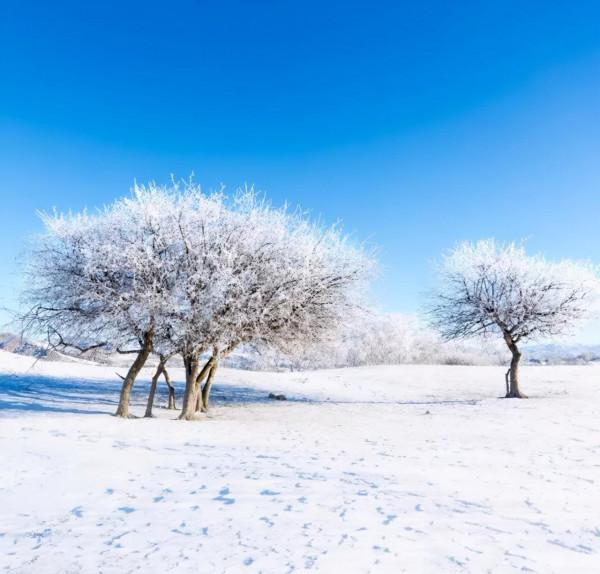 新疆霧凇,這才是完美冬天的開啟方式,真正的冰雪王國... 新疆霧凇,這才是完美冬天的開啟方式,真正的冰雪王國...
