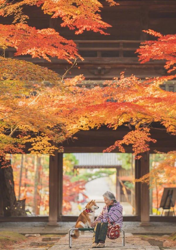 你有多久沒有回家看看了