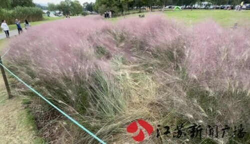 不止煞風景,這些旅遊中的不文明行為或涉嫌違法 不止煞風景,這些旅遊中的不文明行為或涉嫌違法