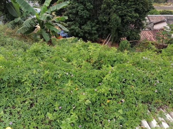 信用卡網貸負債人、失信被執行人為什麼會越來越多 信用卡網貸負債人、失信被執行人為什麼會越來越多